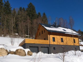 Villa in Bedrichov near ski resort